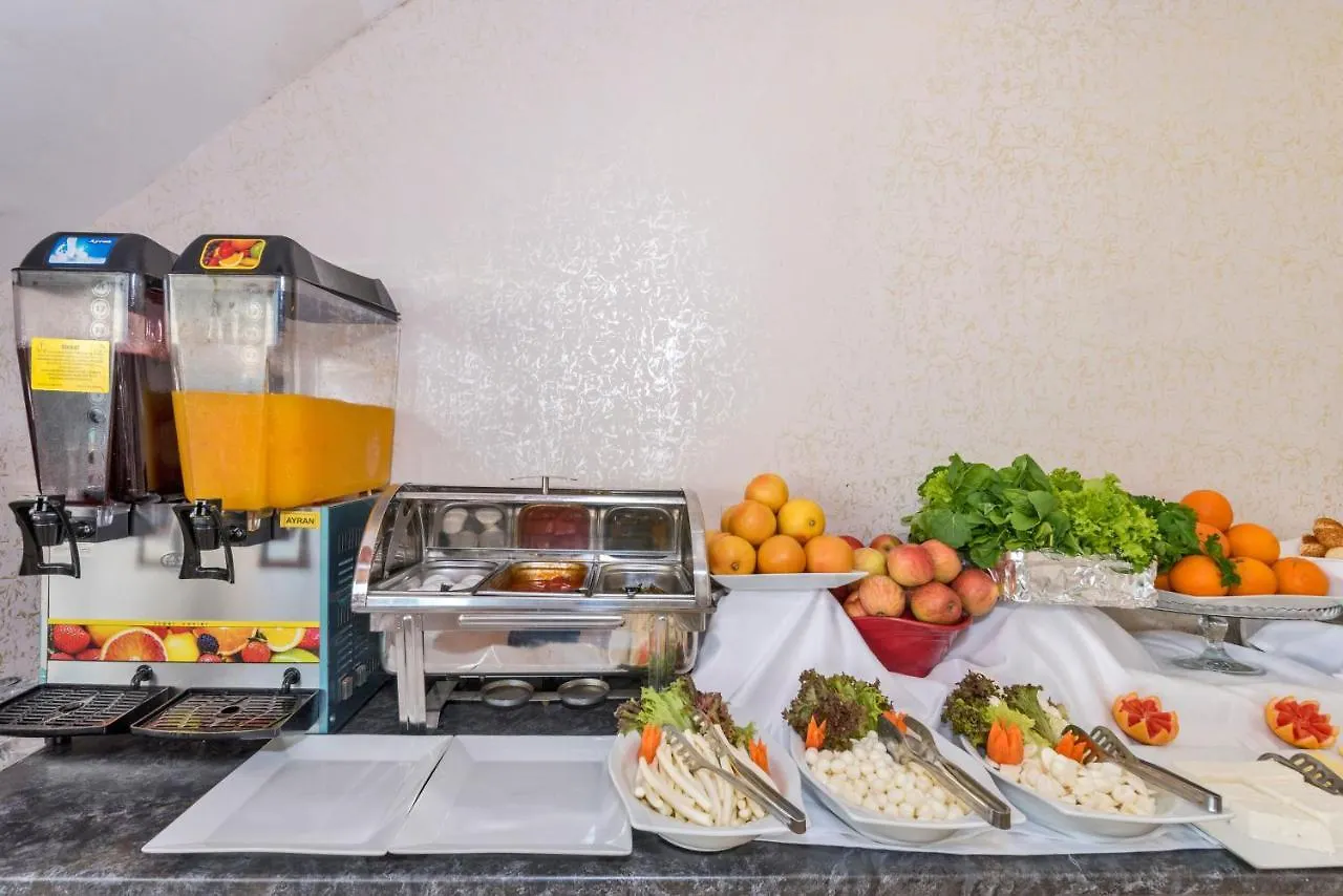 ***  Olimpic Hotel Istambul Turquia